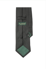 Majestic Lion Crest Tie Set