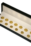 Sher-e-Punjab Crest Button Set ( Set 7 big and 6 small )