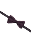 Wine Satin Bow Tie