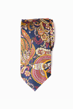 Humming Bird Paisley Silk Tie Set