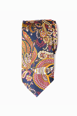 Humming Bird Paisley Silk Tie Set