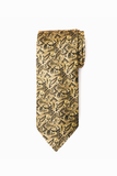 Gatsby Paisley Silk Tie Set