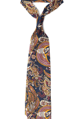 Humming Bird Paisley Silk Tie Set