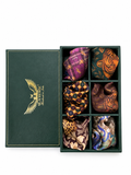The Regal Six - Festive Pocket Squares Bundle