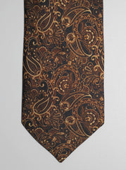 Brown And Black Paisley Silk Tie Set