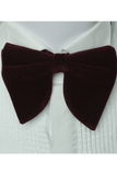 Burgundy Velvet Butterfly Bow Tie